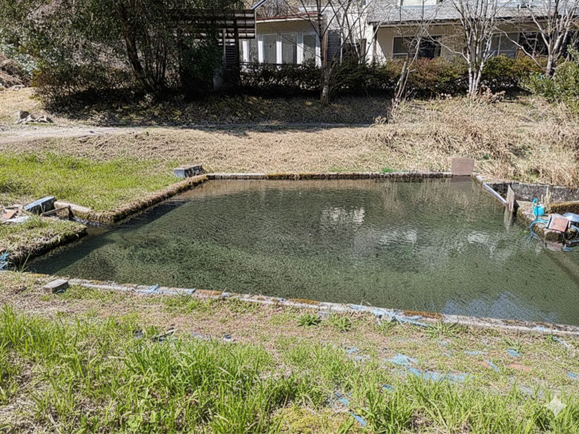 餌釣り用の大池