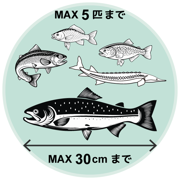 魚制限