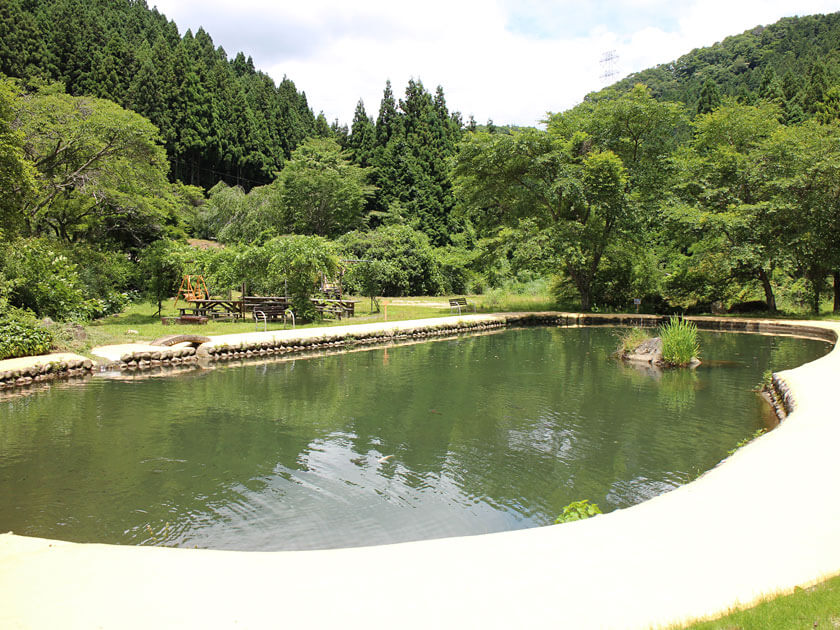 釣り堀の大池